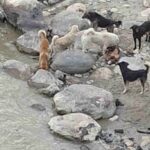 uttarkashi_ba424919ebdcd408eb75fa16dc884a4c