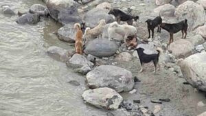 uttarkashi_ba424919ebdcd408eb75fa16dc884a4c