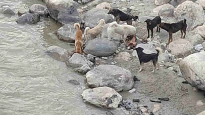 uttarkashi_ba424919ebdcd408eb75fa16dc884a4c